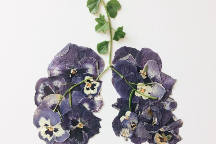 What To Do With Pressed Flowers